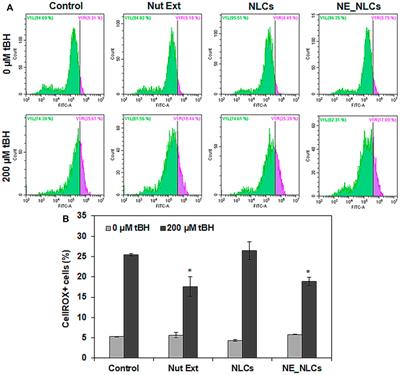 Hazelnut extract-loaded nanostructured lipid carriers and evaluation of their antioxidant properties